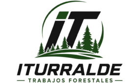 logo bueno wordpress